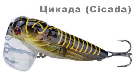 Воблер Цикада (Cicada)